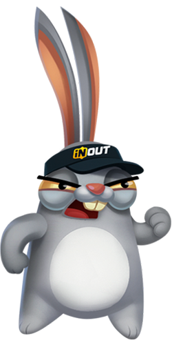 rabbit